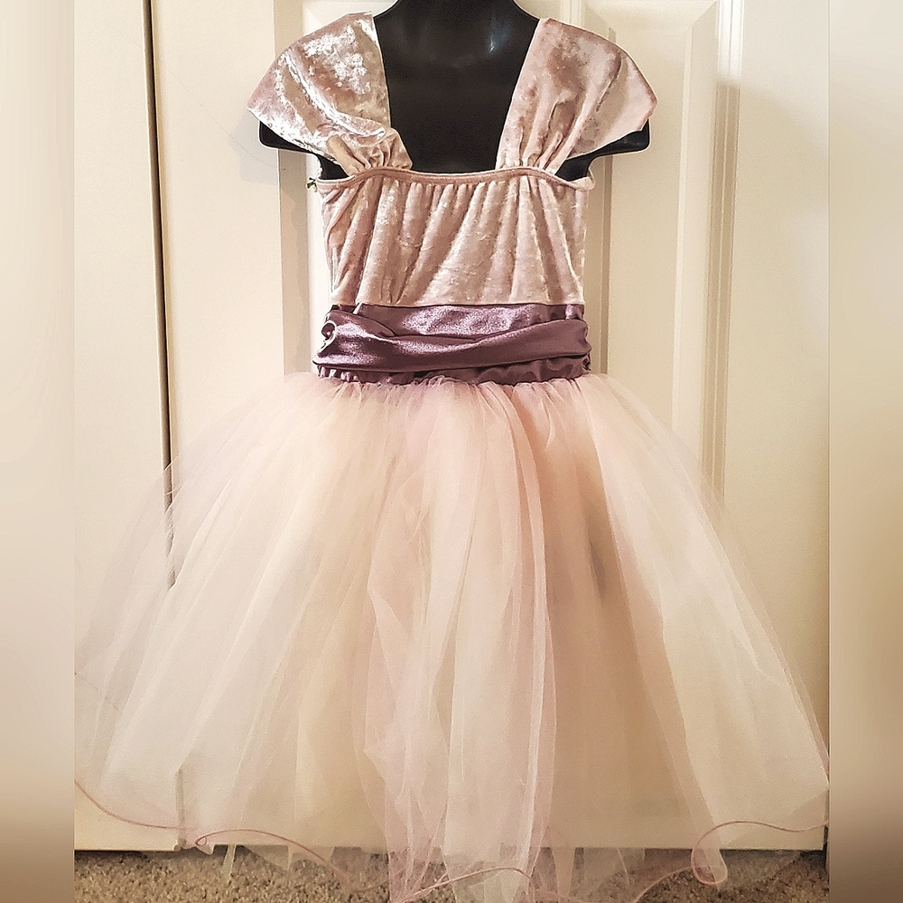 Little Girl's Velveteen Satin & Tulle Dance Costume With Accessory - Picture 3 of 11